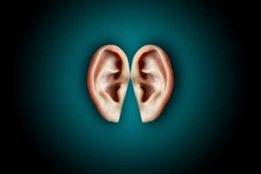 Read more about the article Understanding Hearing Loss: Complete Information for Better Communication!